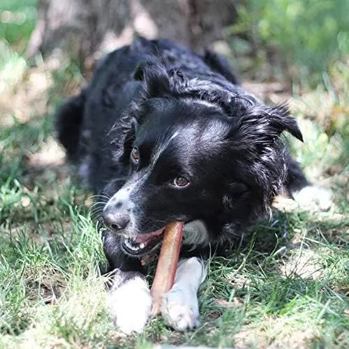 Brazilian Grass-Fed Beef Bully Sticks DC-EcoKind Pet Treats