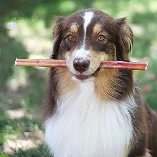 Brazilian Grass-Fed Beef Bully Sticks DC-EcoKind Pet Treats