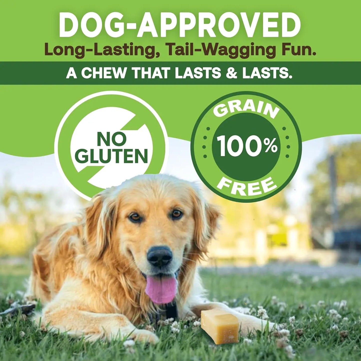 Gold Yak Chews for Large Dogs (1 lb to 5lb Bags) DC-EcoKind Pet Treats