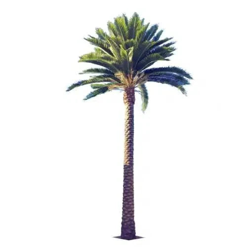 Tall Artificial Florida Palm Tree (13ft To 23ft) UV Resistant (10-12 Week Back Order)-2