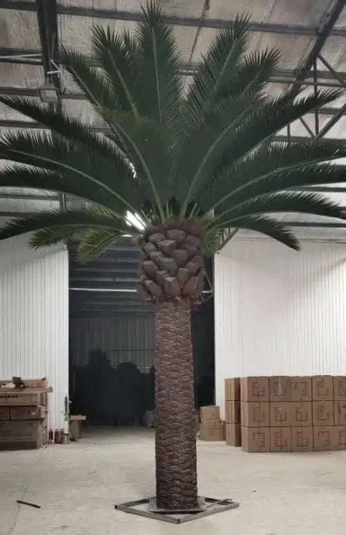Tall Artificial Florida Palm Tree (13ft To 23ft) UV Resistant (10-12 Week Back Order)-3