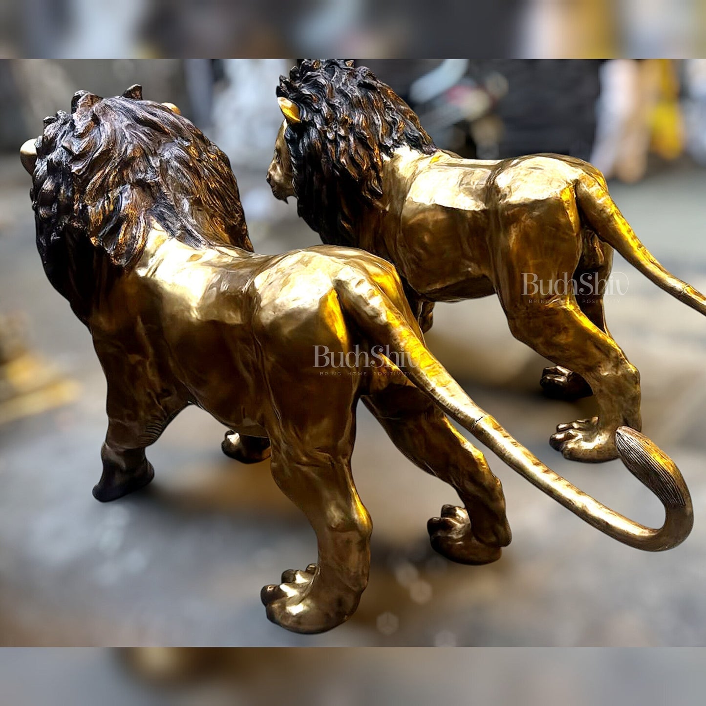 Brass Large Lion Sculpture - 48 Inch, Pair, 400 kg-3