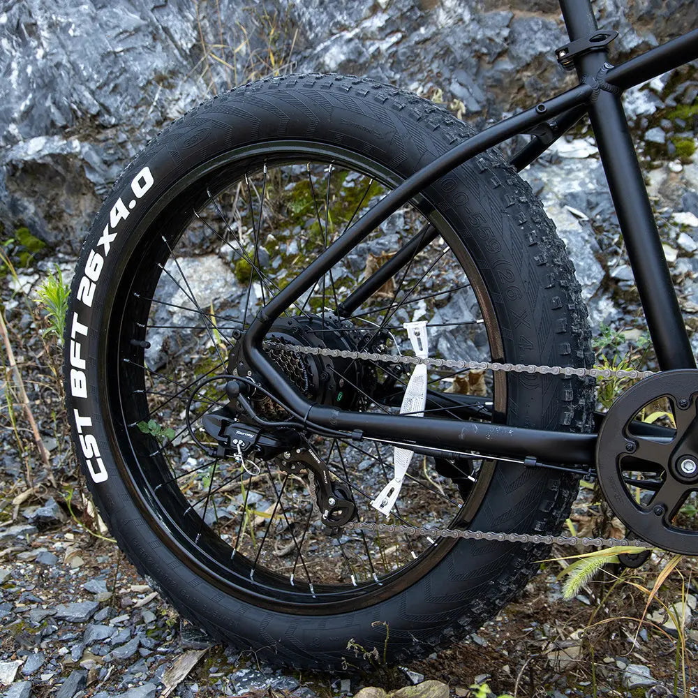 Professional Electric Bike For Adults, 26 X 4.0 Inches Fat Tire Electric Mountain Bicycle, 1000W Motor 48V 15Ah Ebike For Trail Riding, Excursion And Commute, UL And GCC Certified Wholesale Best Products Online