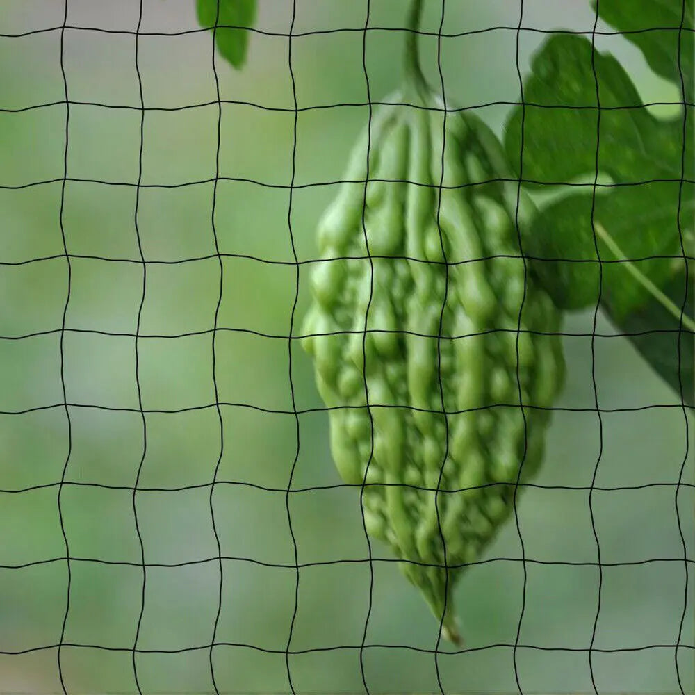33FT Anti Bird Netting Pond Net Protection Tree Crops Plants Fruits