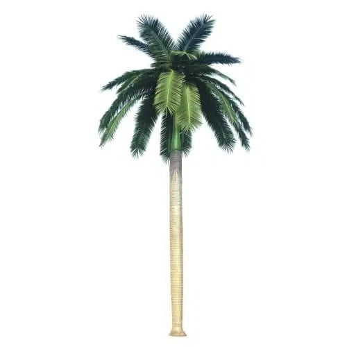 Tall Artificial Royal Palm Tree (13ft - 23ft) UV Resistant (10-12 Week Back Order)-3
