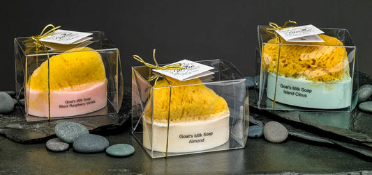 Goat's Milk Soap w/ Embedded Sea Sponge-Coconut DC-The Grecian Soap Company