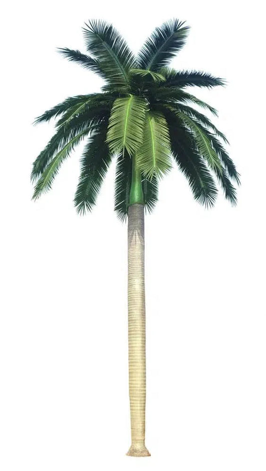 Tall Artificial Royal Palm Tree (13ft - 23ft) UV Resistant (10-12 Week Back Order)-0