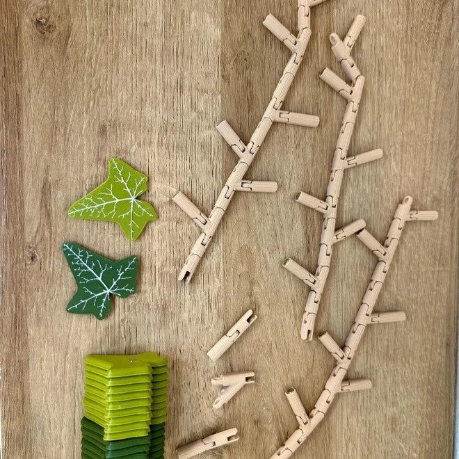 English Ivy Fridge Magnet With Articulating Vine