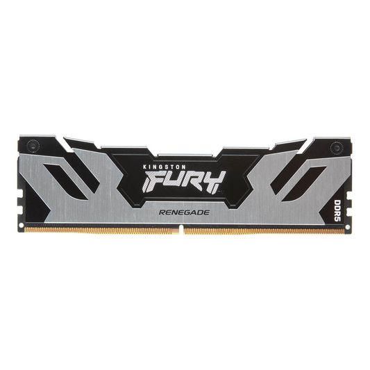 Paměť Kingston Fury Renegade, DDR5, 48 GB, 6400MHz, CL32 (KF564C32RS-48) (KF564C32RS-48)-0